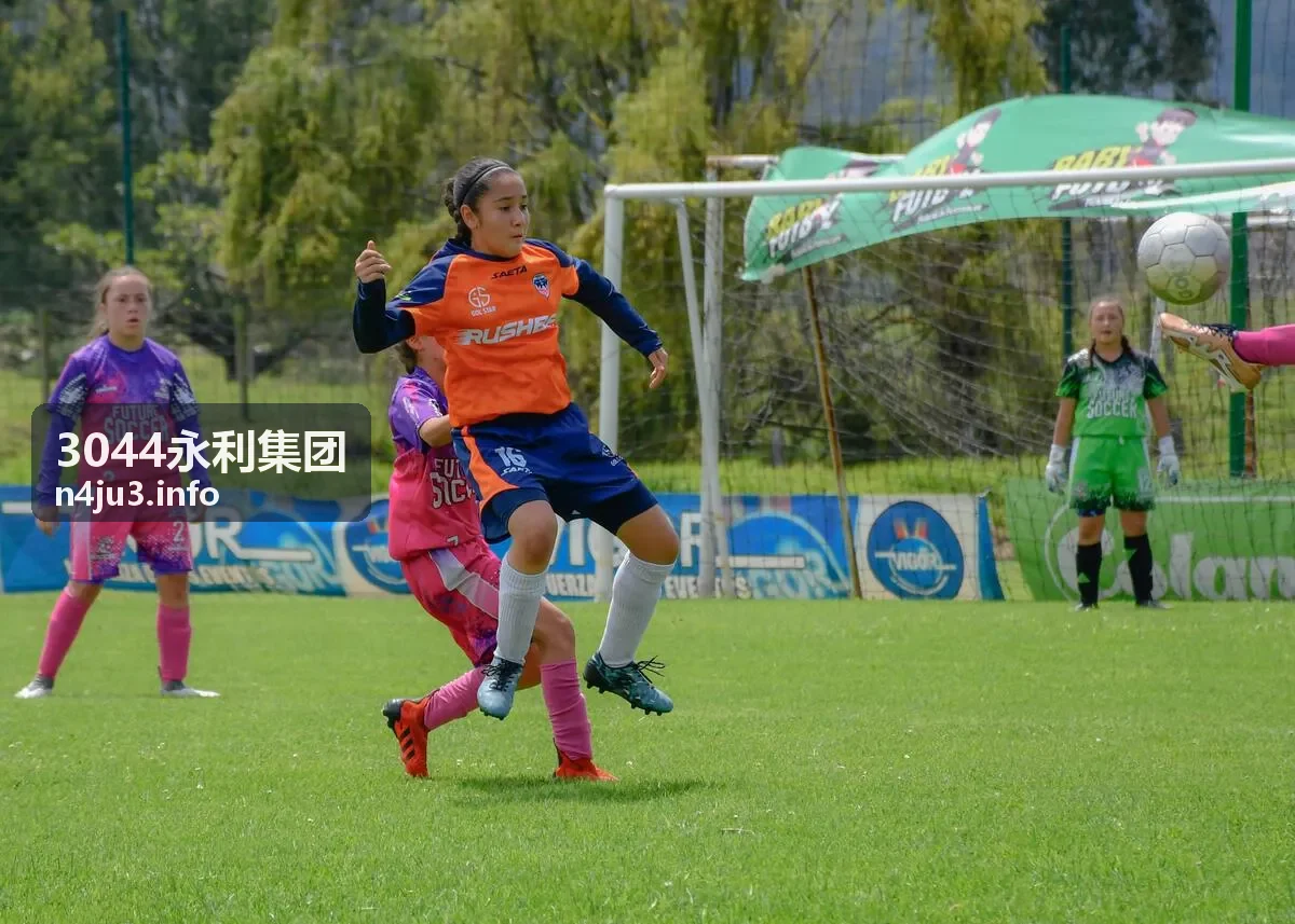 3044永利集团资源整合与项目投资服务